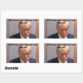 34 veroordelingen sluiten hem op Donald Trump Rechthoekige Sticker (Vel)
