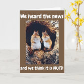 ***34ste VERJAARDAG**** WE DENKEN DAT HET GEK IS!! Kaart (Gele Bloem)