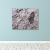 350 miljoen jaar Fossiele foto's van oud Plant Canvas Afdruk (Insitu (Houten vloer))