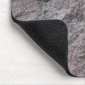 350 miljoen jaar Fossiele foto's van oud Plant Muismat (Hoek)