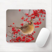 350 MUISMAT (Met muis)