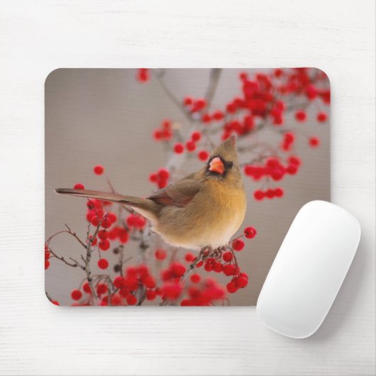 350 MUISMAT (Met muis)