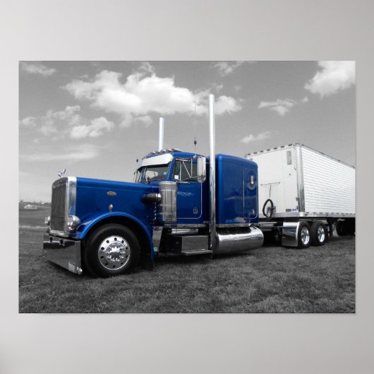 359 Nolt (zwart-wit bewerken) Poster (Voorkant)