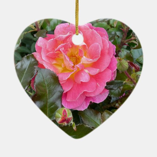 35e bruiloft Jubileum Koraal Roos Keramisch Ornament (Achterkant)