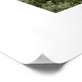 360 Bridge Poster (Hoek)