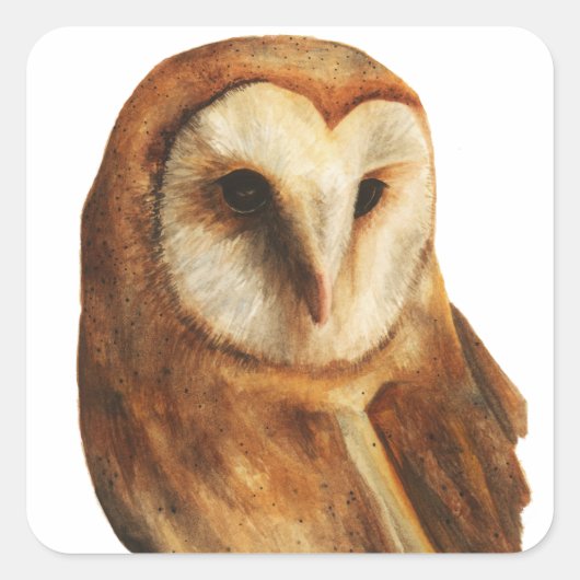 360 graden vierkante sticker (Voorkant)
