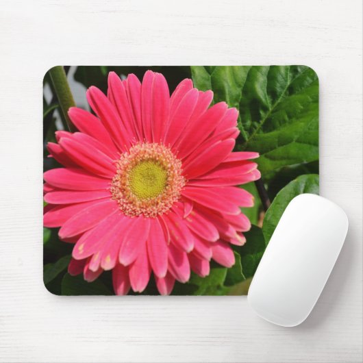 365 flower Gerbera Daisies Muismat (Met muis)