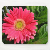 365 flower Gerbera Daisies Muismat (Voorkant)