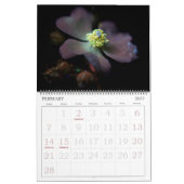 365NM UV-lichtventilatorfoto's kalender (Feb 2027)