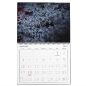 365NM UV-lichtventilatorfoto's kalender (Jan 2027)