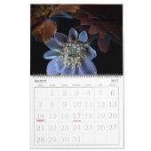 365NM UV-lichtventilatorfoto's kalender (Mar 2027)