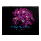 365NM UV-lichtventilatorfoto's kalender (Hoes)