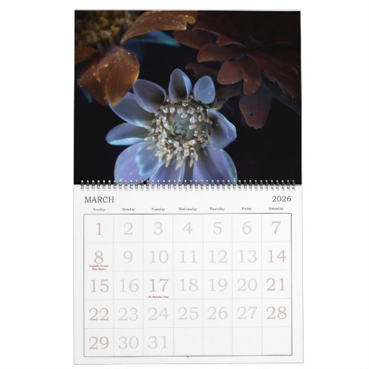 365NM UV-lichtventilatorfoto's kalender (Mar 2026)