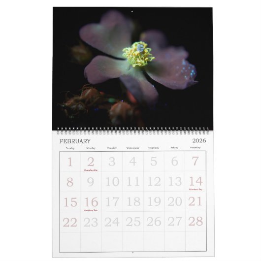 365NM UV-lichtventilatorfoto's kalender (Feb 2026)