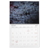 365NM UV-lichtventilatorfoto's kalender (Jan 2026)