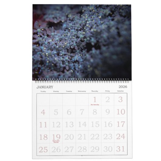 365NM UV-lichtventilatorfoto's kalender (Jan 2026)