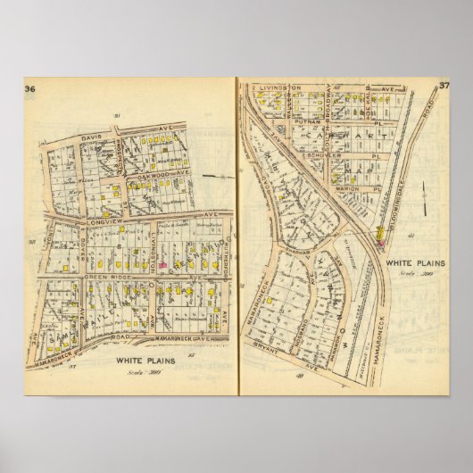 36-37 Witte vlekken Poster (Voorkant)
