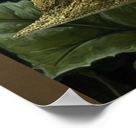 *~* 36 FD3 Earth Keeper Guardian Surreal Poster (Hoek)