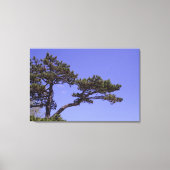 36-inch x24-inch pijnboom canvas afdruk (Voorkant)