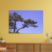 36-inch x24-inch pijnboom canvas afdruk (Insitu (Woonkamer))