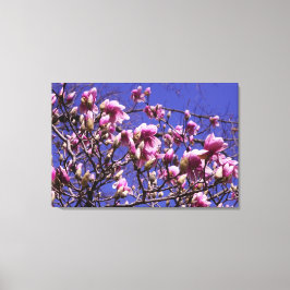 36-inch x24-inch roze magnolia canvas afdruk