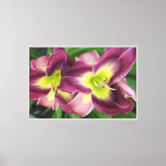 36"x24" Daglelies Canvas Afdruk