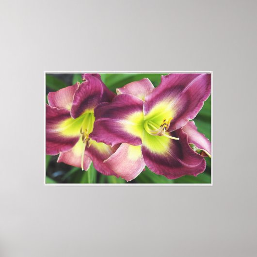 36"x24" Daglelies Canvas Afdruk (Voorkant)