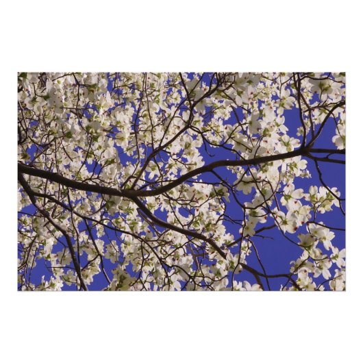 36 x24-inch witte duoghout foto afdruk (Voorkant)