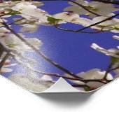 36 x24-inch witte duoghout foto afdruk (Hoek)