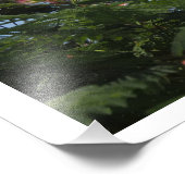 36"x24" Mimosa Boom Foto Afdruk (Hoek)