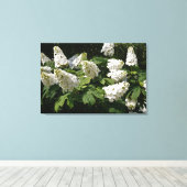 36 "x24" Oakleaf Hydrangea Canvas Afdruk (Insitu (Houten vloer))