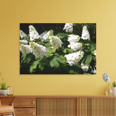 36 "x24" Oakleaf Hydrangea Canvas Afdruk (Insitu (Woonkamer))