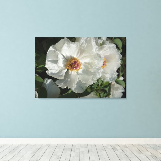 36 "x24" pioenrozen canvas afdruk (Insitu (Houten vloer))