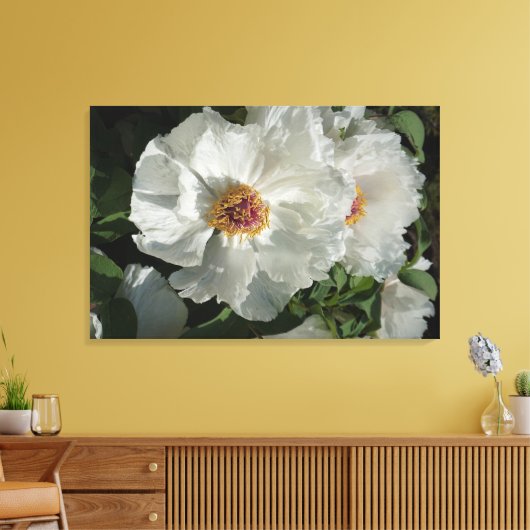 36 "x24" pioenrozen canvas afdruk (Insitu (Woonkamer))