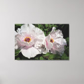 36 "x24" pioenrozen canvas afdruk (Voorkant)