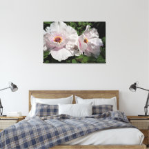 36 "x24" pioenrozen