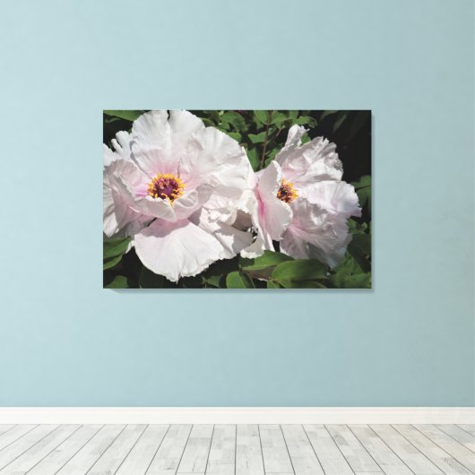 36 "x24" pioenrozen canvas afdruk (Insitu (Houten vloer))