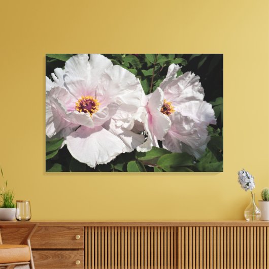 36 "x24" pioenrozen canvas afdruk (Insitu (Woonkamer))