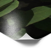 36 "x24" pioenrozen foto afdruk (Hoek)