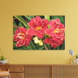 36"x24" Rode daglelies Canvas Afdruk