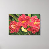 36"x24" Rode daglelies Canvas Afdruk (Voorkant)