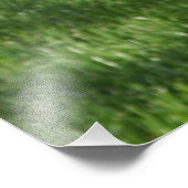 36"x24" Rodebud Foto Afdruk (Hoek)