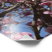 36"x24" Roze Magnolia Foto Afdruk (Hoek)