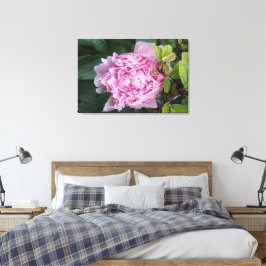 36 "x24" roze pioen canvas afdruk