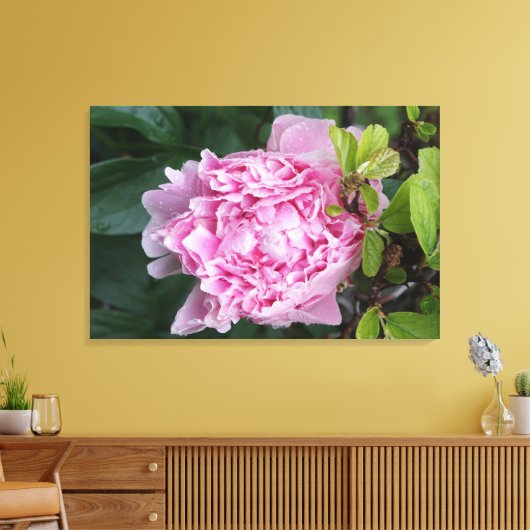 36 "x24" roze pioen canvas afdruk (Insitu (Woonkamer))