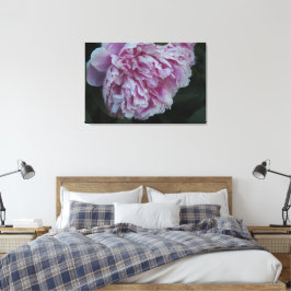 36"x24" Roze Pioen Canvas Afdruk