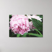 36 "x24" roze pioen canvas afdruk (Voorkant)