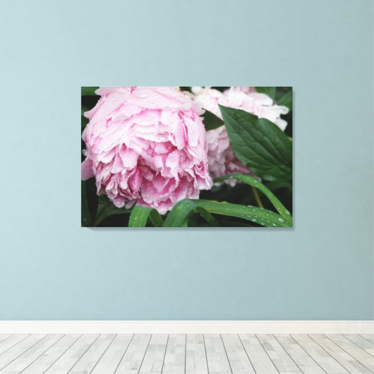 36 "x24" roze pioen canvas afdruk (Insitu (Houten vloer))