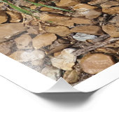 36"x24" Succulent Foto Afdruk (Hoek)