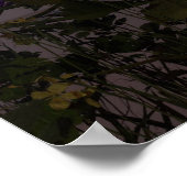 36 "x40" papier poster w' "Vlucht van de kolibrie (Hoek)